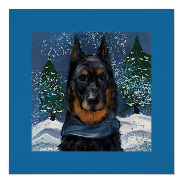 Póster Beauceron                       (Frente)