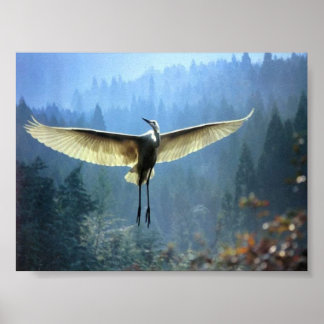 Poster beautiful bird