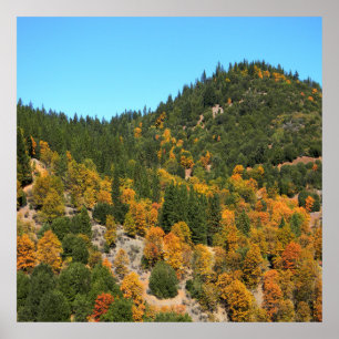 Poster Beautiful Fall day in the mountains......