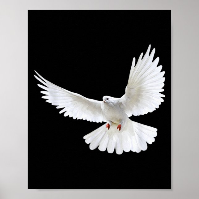 Poster Beautiful Flying Peaceful White Dove Photo Silhoue (Frente)