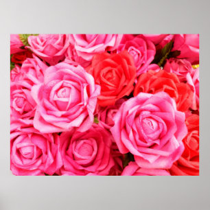 Poster Beautiful red and pink roses