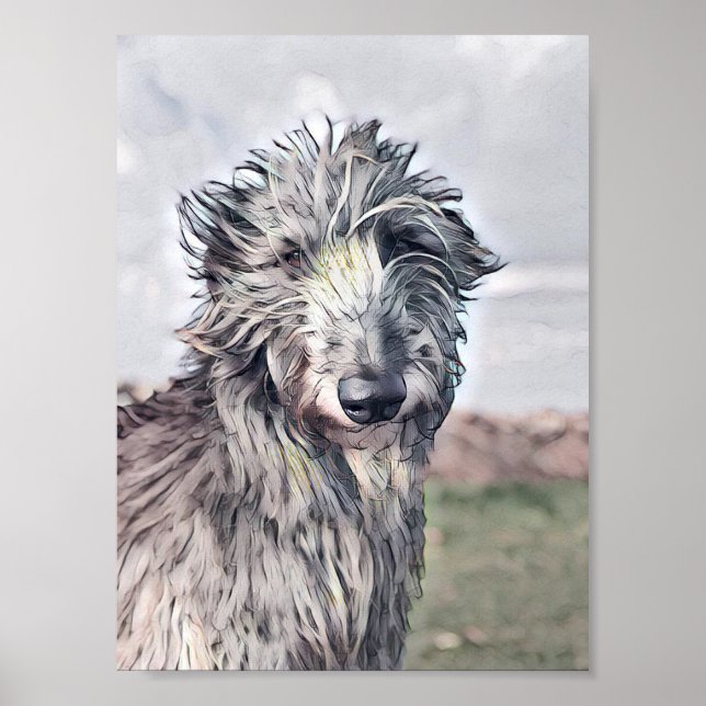 Poster Beautiful Scottish Deerhound Design (Frente)