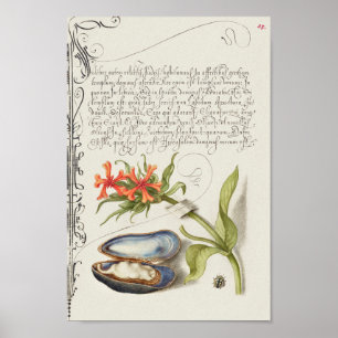 Poster Beautiful Vintage Botanical Illustration