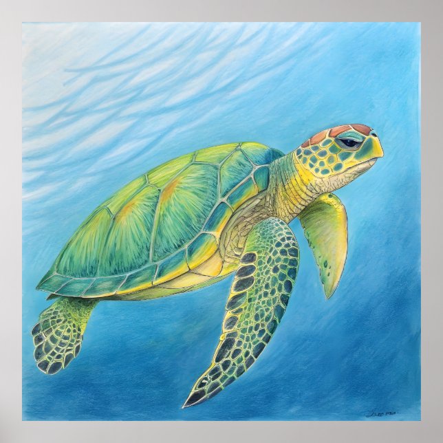 Poster Beauty of the turtle (Frente)