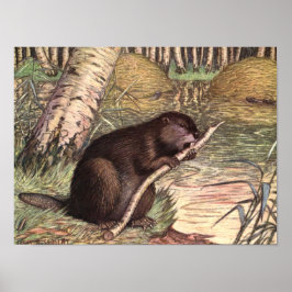 Poster Beaver de Louis Sargent, Vintage Selvagens