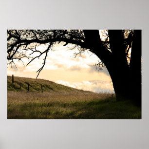 Poster "Bêbado da Fronteira"