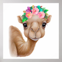 Bebê Camelo Adorável
