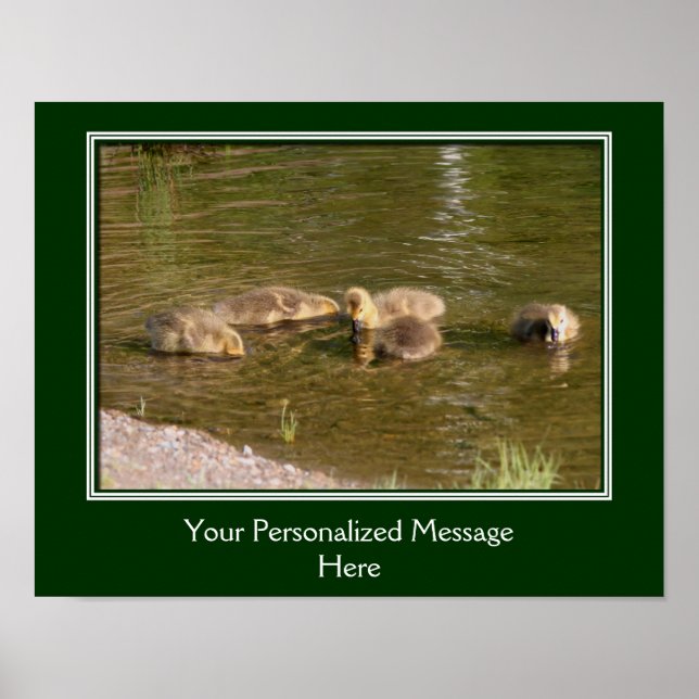 Poster Bebê Canadá Goslings Crie o seu (Frente)