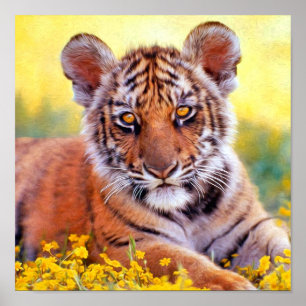 Póster Bebê Cub do tigre