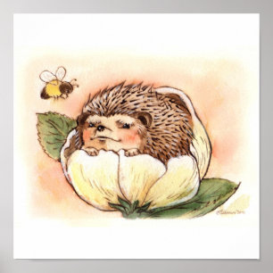 Póster Bebê da flor do ouriço