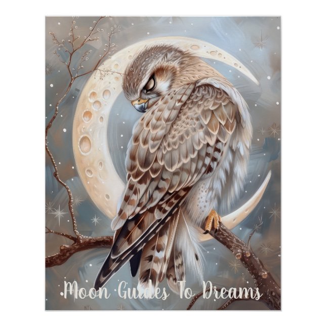 Póster Bebê do Falcão que dorme na Lua (Frente)