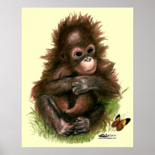 Póster Bebê e borboleta do orangotango