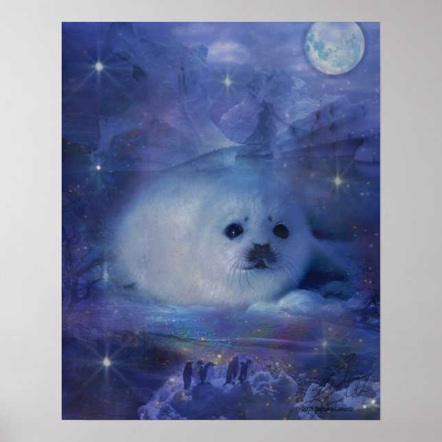 Poster Bebê-foca no gelo - Belo mar (Frente)