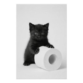 Póster Bebê Gatinho Preto Guardando Rolo de Papel Higiêni