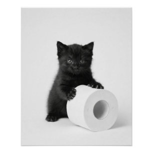 Póster Bebê Gatinho Preto Guardando Rolo de Papel Higiêni