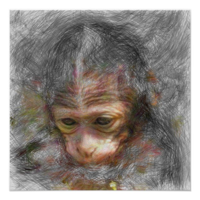 Póster bebê macaco-animal artístico (Frente)