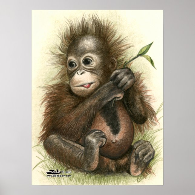 Póster Bebê Orangotango Com Folhas (Frente)