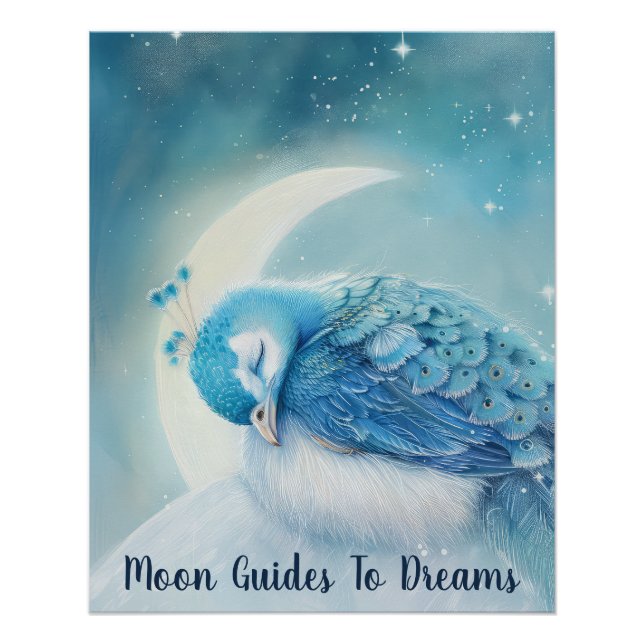 Póster Bebê pássaro pássaro pássaro dormindo na Lua (Frente)