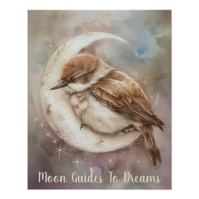 Póster Bebê pássaro Swift dormindo na Lua (Frente)