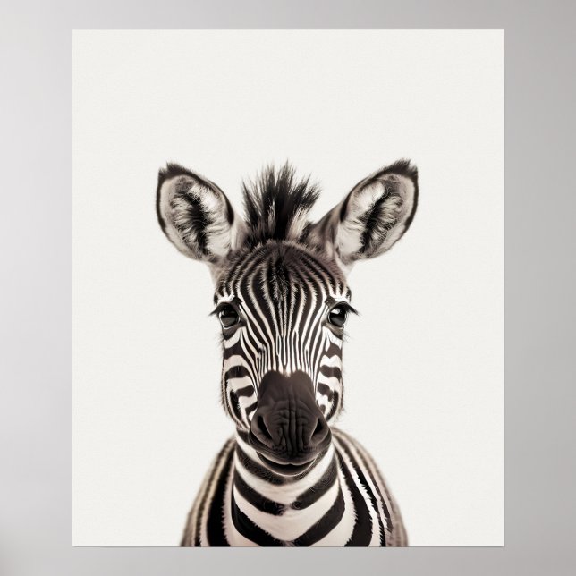 Poster Bebê Safari African Jungle Animal Zebra (Frente)