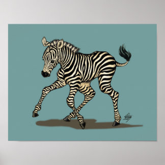 Póster Bebê zebra sobre fundo azul