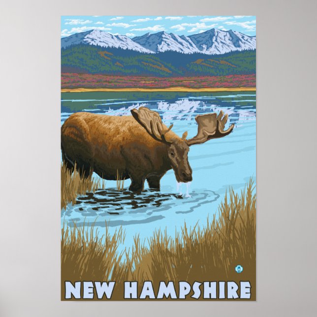 Poster Bebendo de New HampshireMoose no lago (Frente)