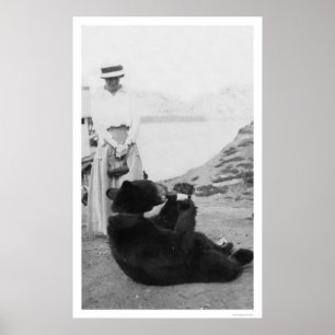 Poster Bebendo do urso em Alaska 1910