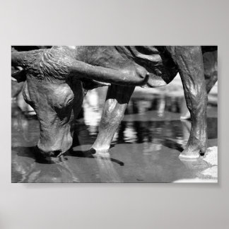 Poster Bebendo Longhorn