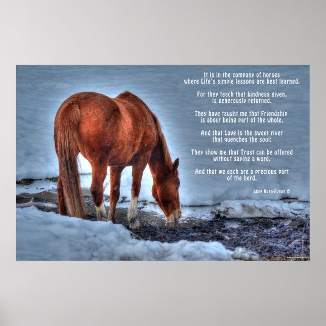 Póster Bebendo Red Dun Ranch Horse & Equine Poem (Frente)