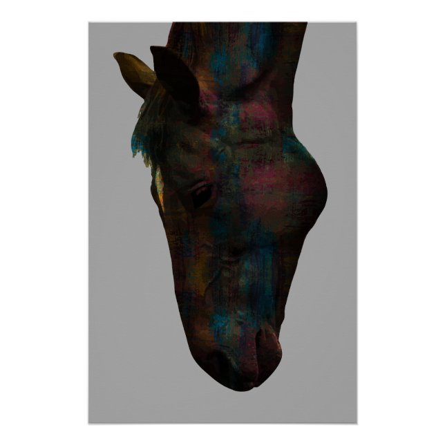 Póster Beber Equino Gracioso: Desenho Colorido de Cabeça  (Frente)