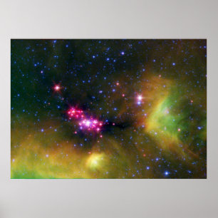 Poster Bebês Estelares