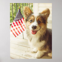 Bebês Mais Pobres | American Flag Corgi