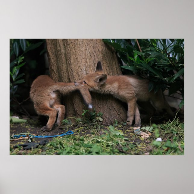 Poster Bebês Mais Pobres | Brincadeiras (Frente)