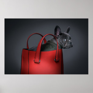 Poster Bebês Mais Pobres Buldogue francês Red Hand Bag