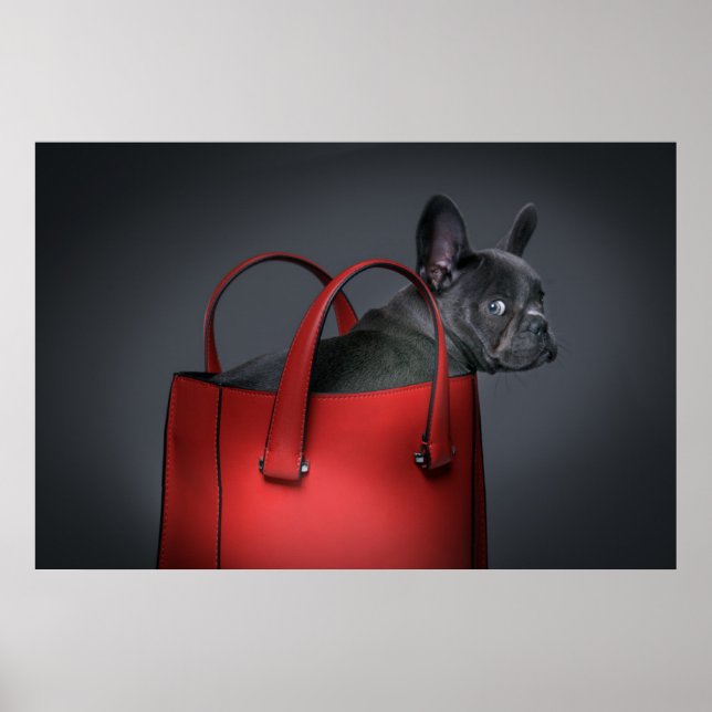 Poster Bebês Mais Pobres | Buldogue francês Red Hand Bag (Frente)