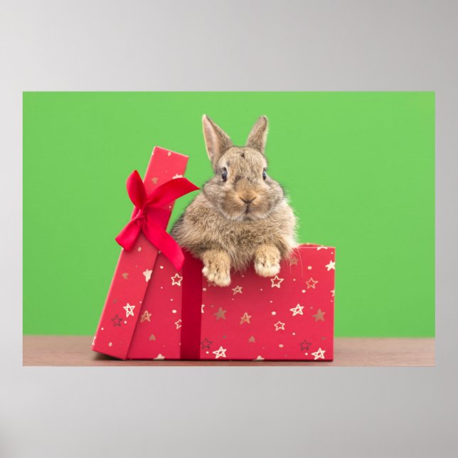 Poster Bebês Mais Pobres | Bunny Natal (Frente)