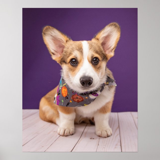 Poster Bebês Mais Pobres | Halloween Corgi (Frente)