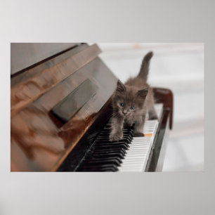 Poster Bebês Mais Pobres Kitten on Piano