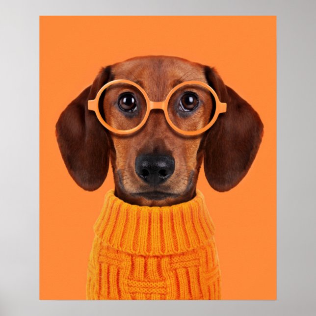 Poster Bebês Mais Pobres | Suéter de laranja Dachshund (Frente)