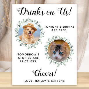 Poster Bebidas Por Nossa Conta Cachorro Bar Aberto Foto P