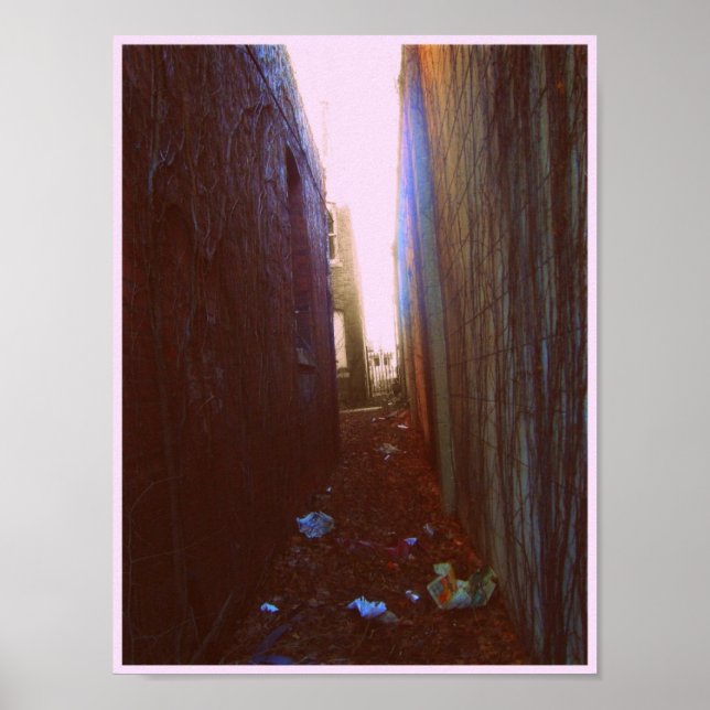 Poster Beco (Frente)