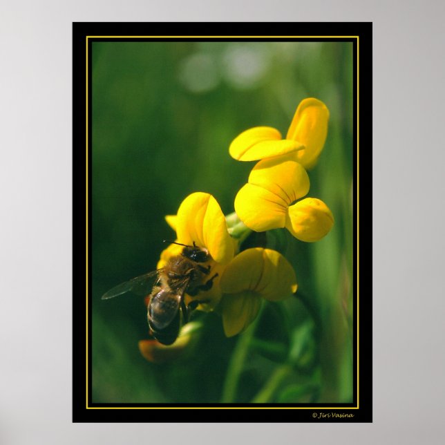 Poster Bee Breakfast (Frente)
