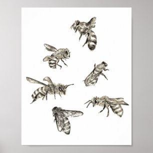 Poster Bee Drawing
