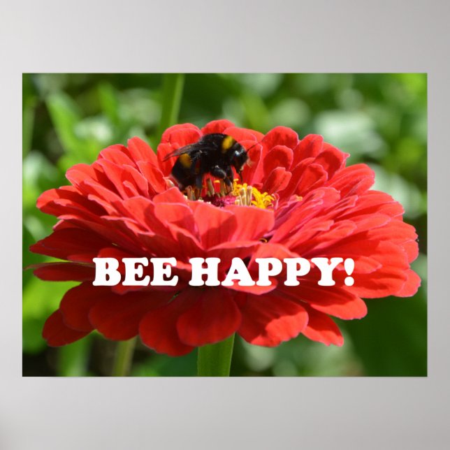 Poster Bee Happy Red Flower (Frente)