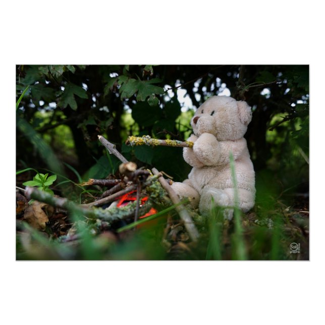 Póster Beertje dat bij kampvuur zit. (Frente)