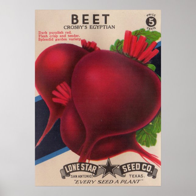 Poster Beets de pacotes de sementes dos anos 50 (Frente)