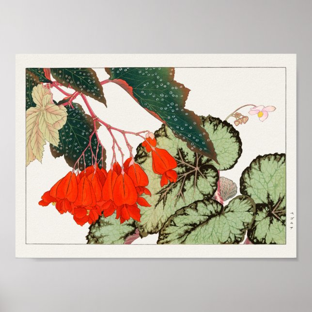 Poster Begonia por Tanigami Konan (Frente)