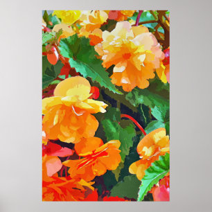 POSTER BEGONIAS
