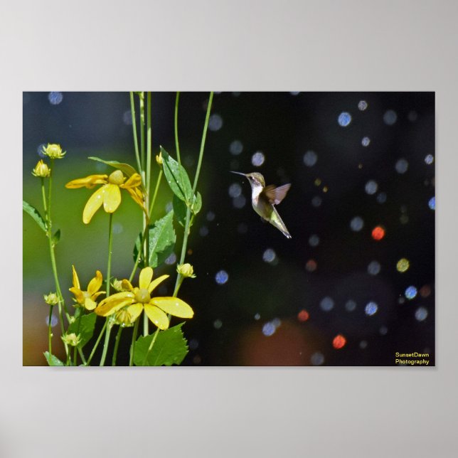 Poster Beija (Frente)