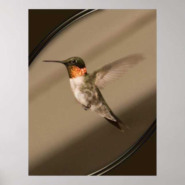 Poster Beija Flor (Frente)